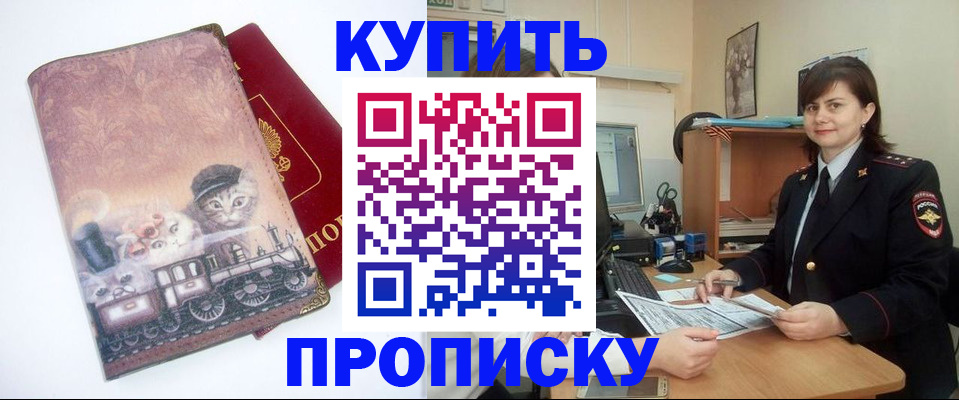 прописка в Ельне